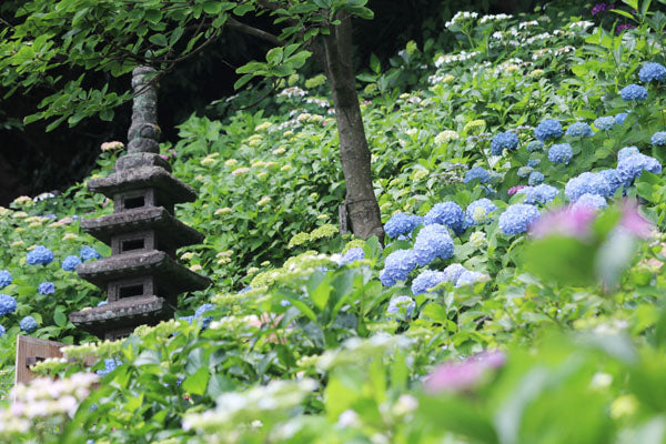 6月4日（金）奈良・三条 臨時休業のお知らせ