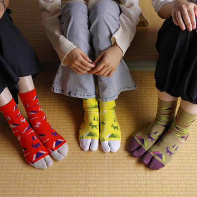 Tabi Socks_ Mikasayama
