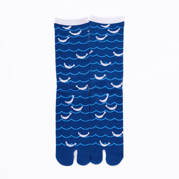 Front view of long blue Tabi Socks " Shirasu "