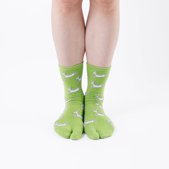 Person wearing long green Tabi Socks " Shika Hashiru ", front view