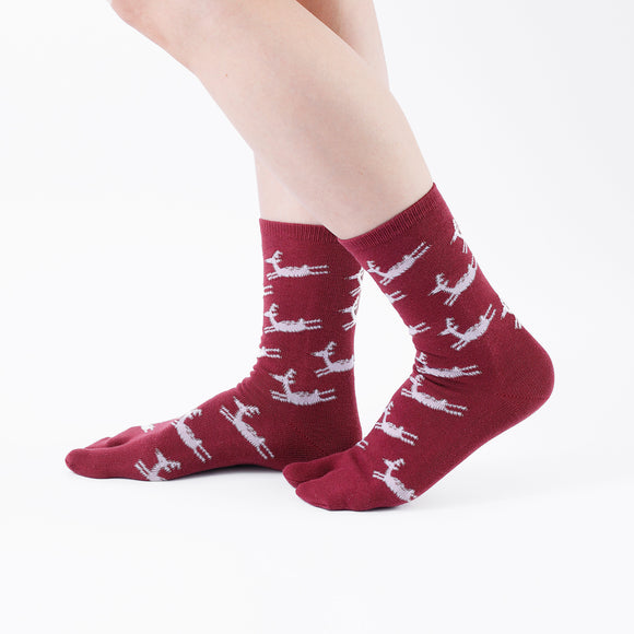 Person wearing long red Tabi Socks " Shika Hashiru ", right side view